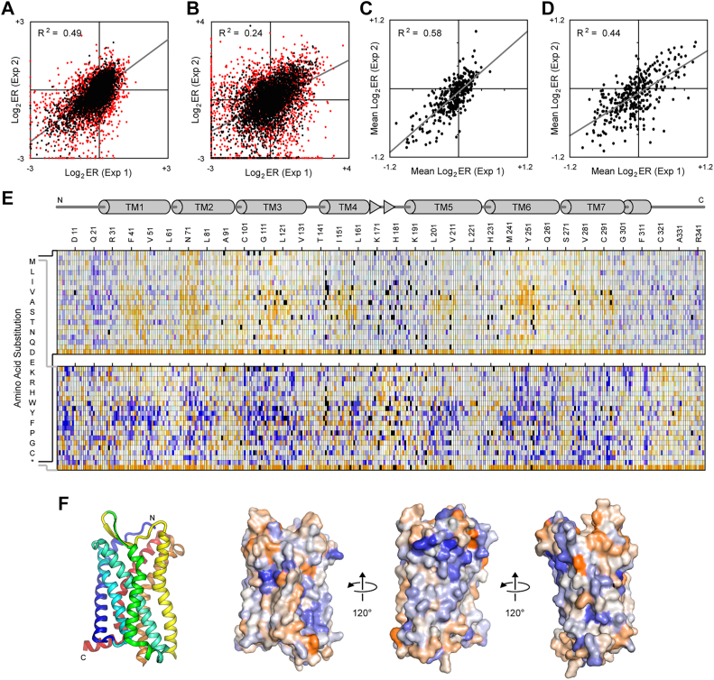 Figure 4