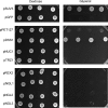 FIGURE 6.