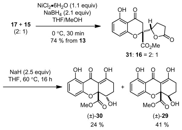 Scheme 4