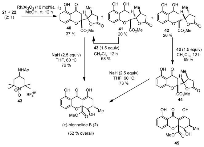 Scheme 8