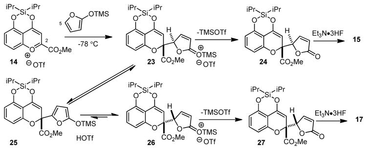 Scheme 2