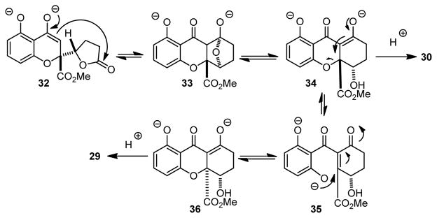 Scheme 5