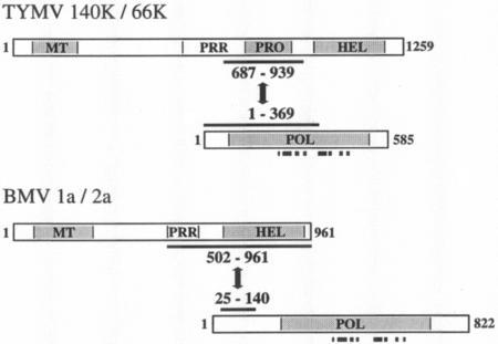 FIG. 7.