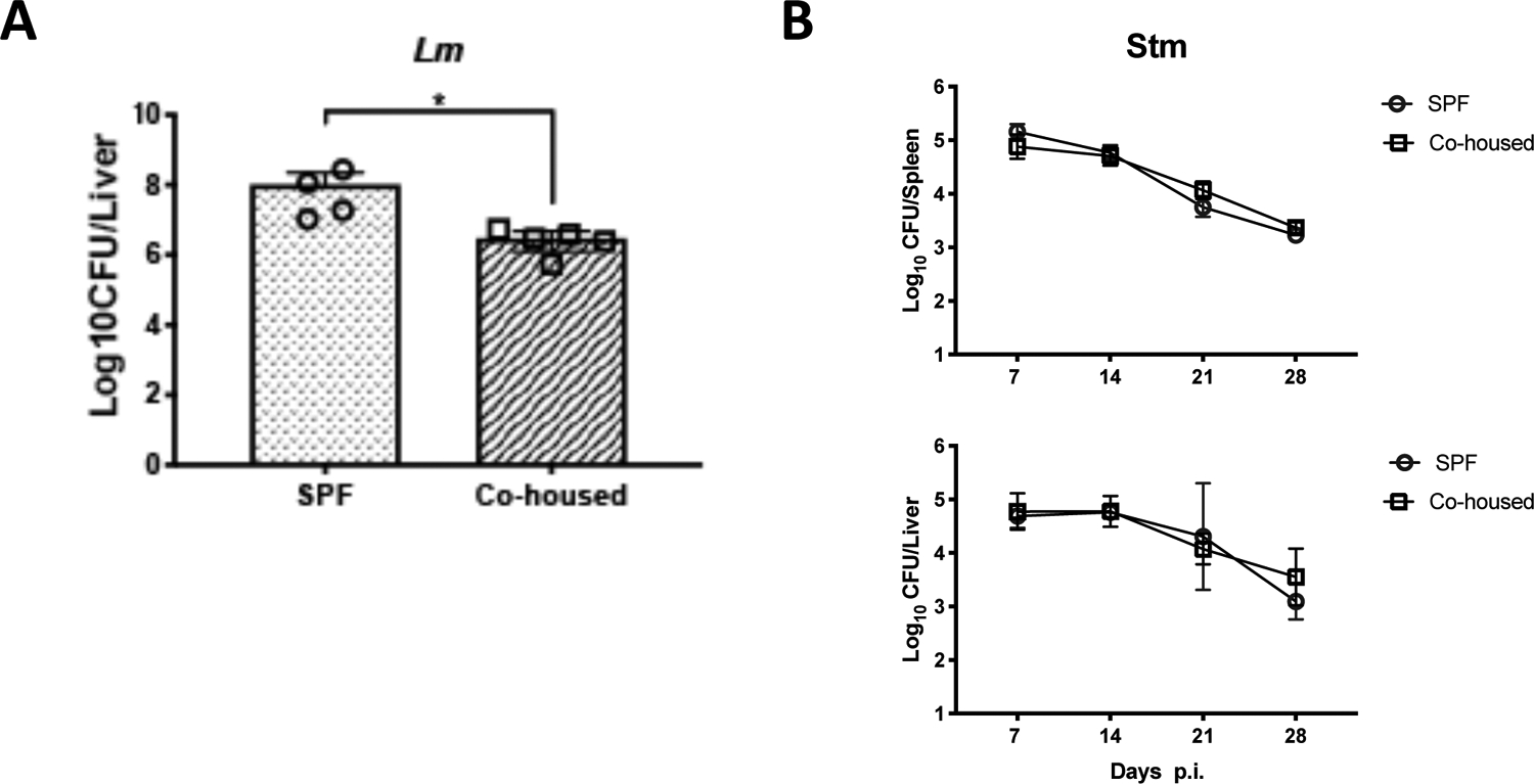 Figure 4: