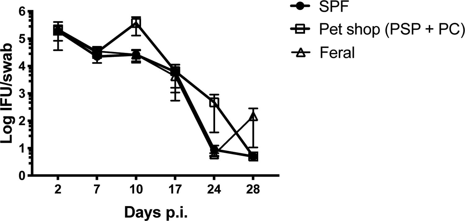 Figure 5: