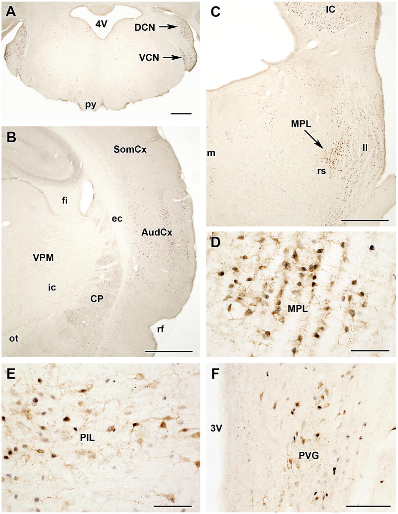 Fig. 13