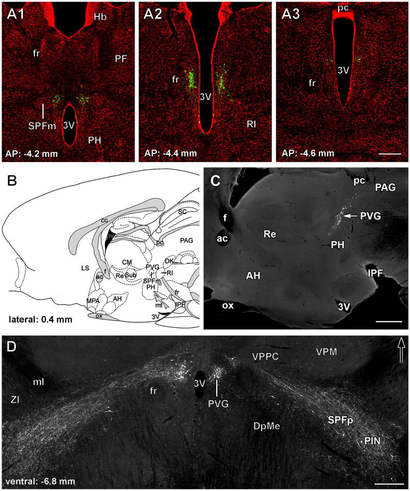 Fig. 2