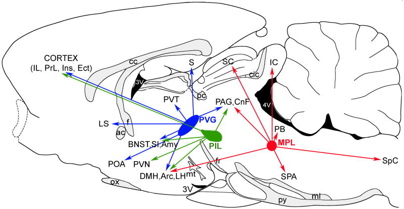 Fig. 9