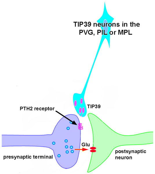 Fig. 12