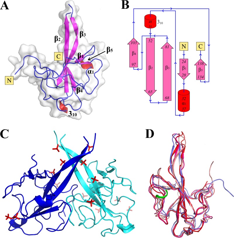 FIG 2