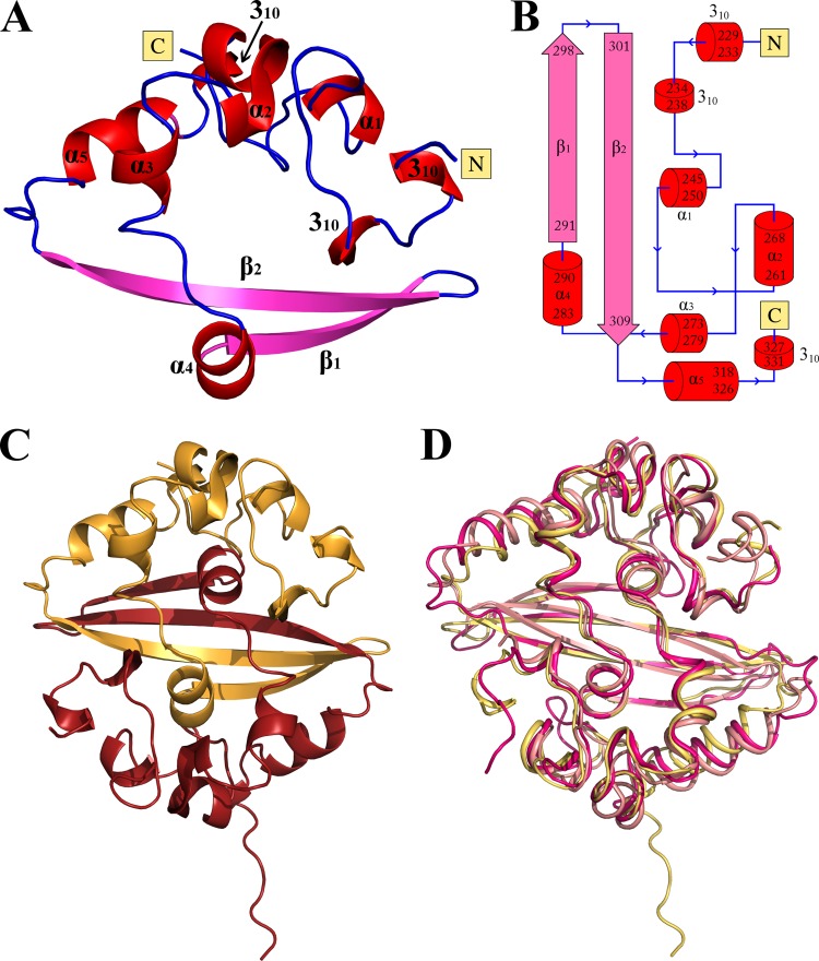 FIG 4