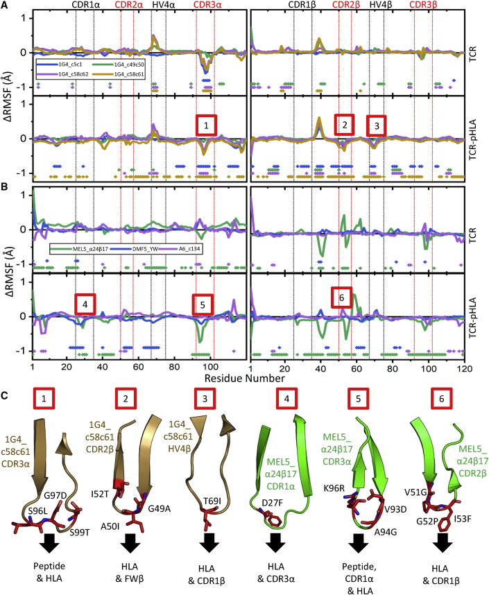 Figure 6