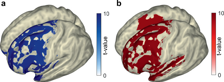 Figure 4—figure supplement 1.