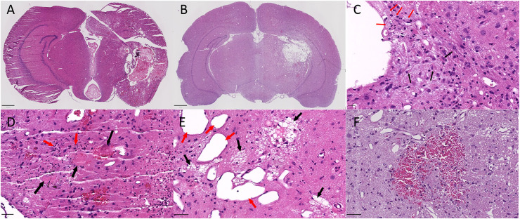 Fig 5