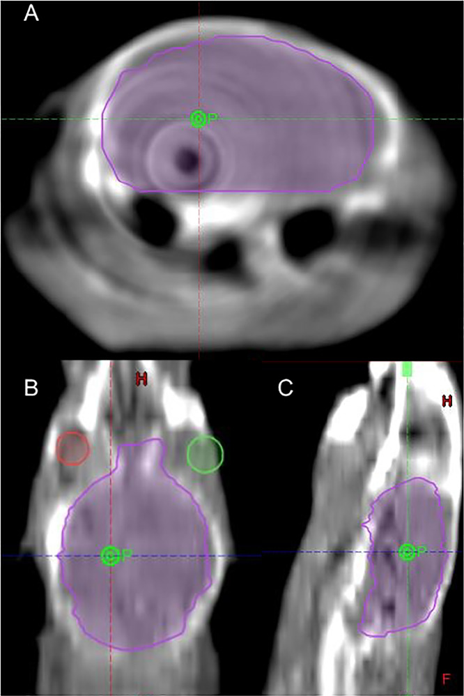 Fig 2