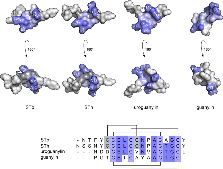 FIG 1