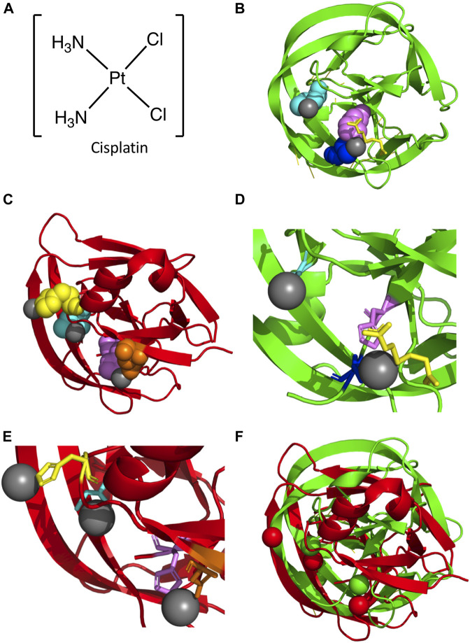 FIGURE 3