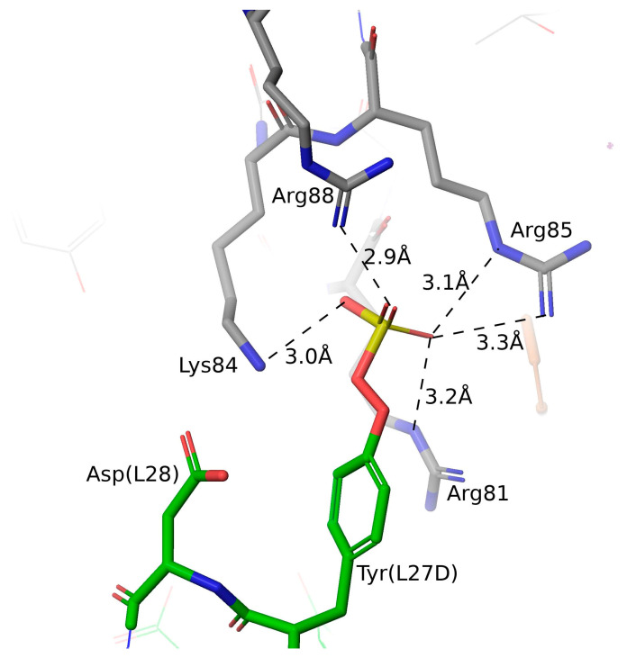 Figure 8