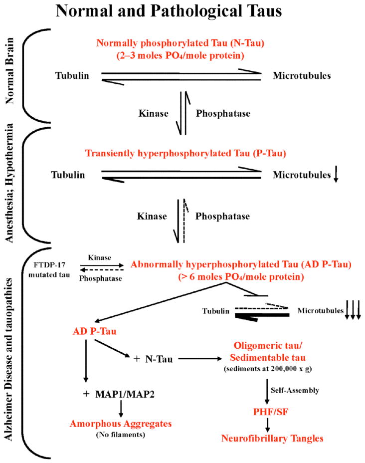 Fig. (1)