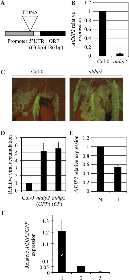 Figure 5.