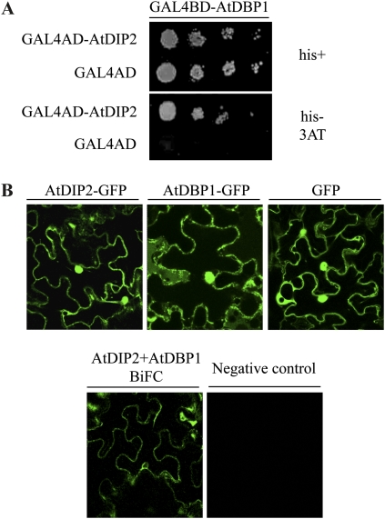 Figure 3.