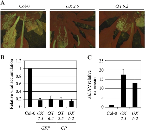 Figure 6.