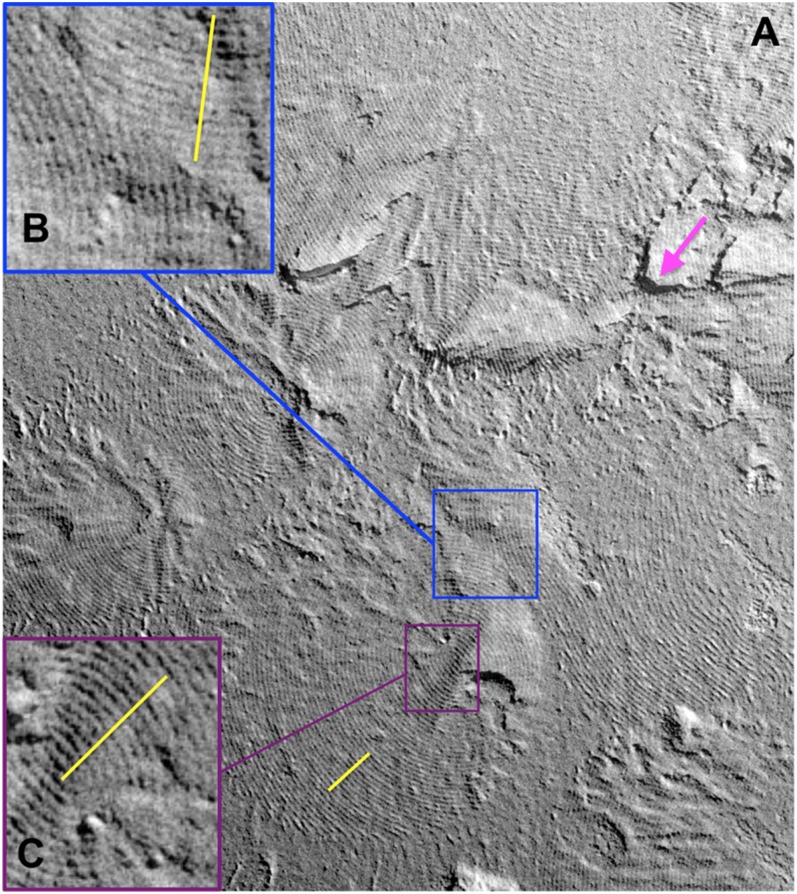 Fig. 2.