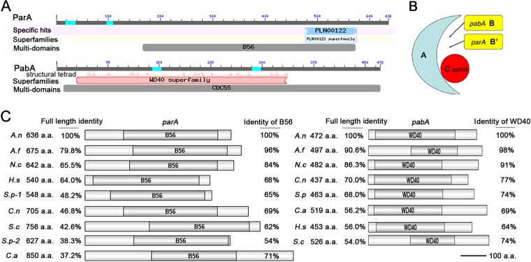 FIG 1