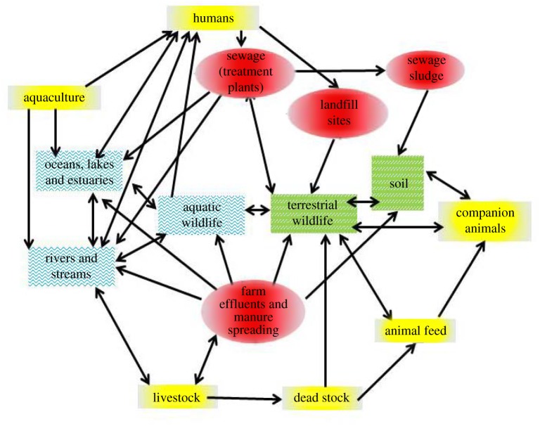 Figure 1.