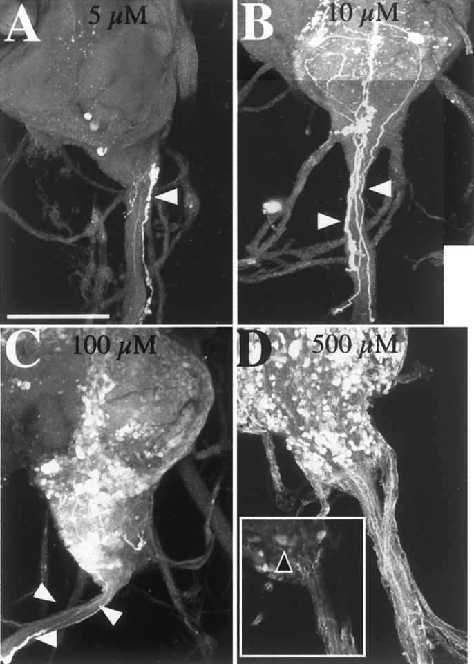 Fig. 8.