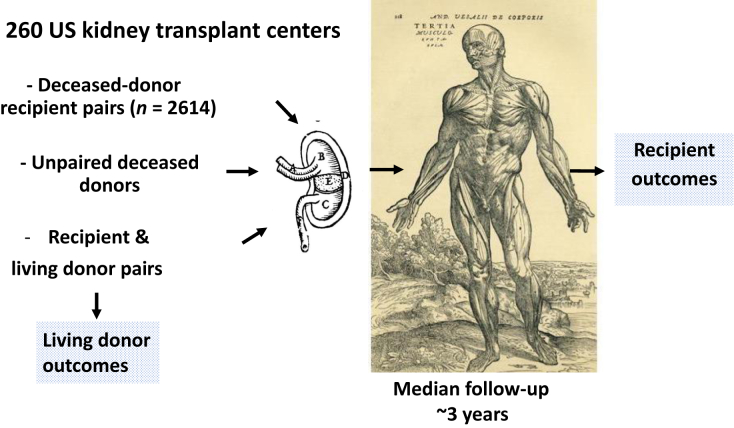 Figure 1