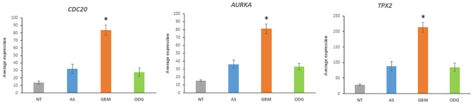 Fig. 13