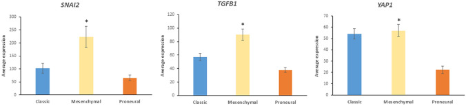 Fig. 20