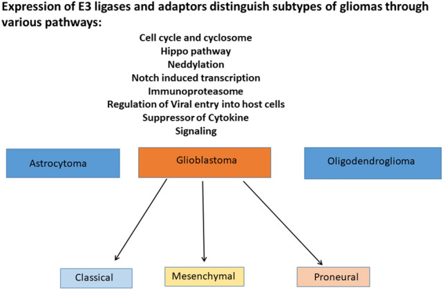 Fig. 23