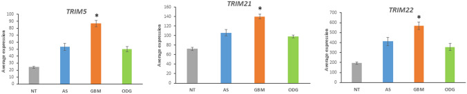 Fig. 21