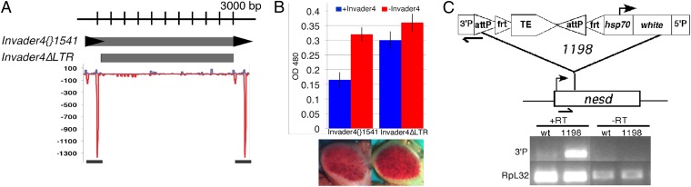 Fig. 4.