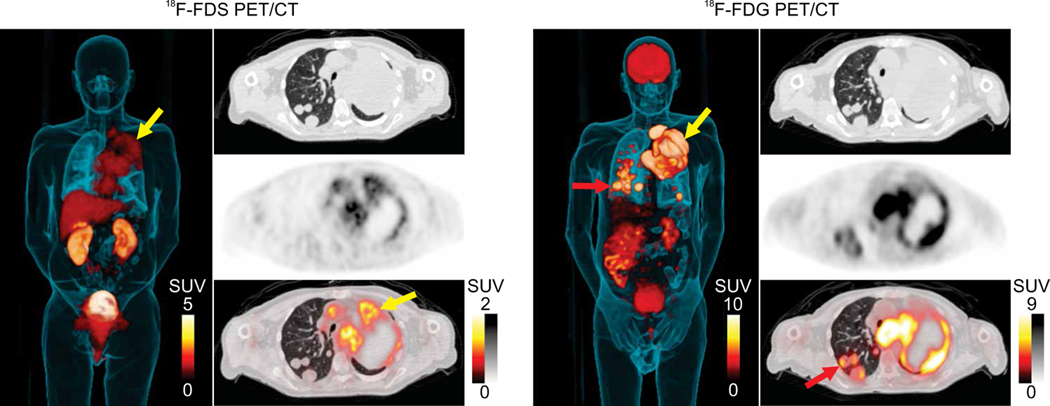 Fig. 3.