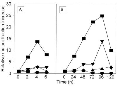 FIG. 5