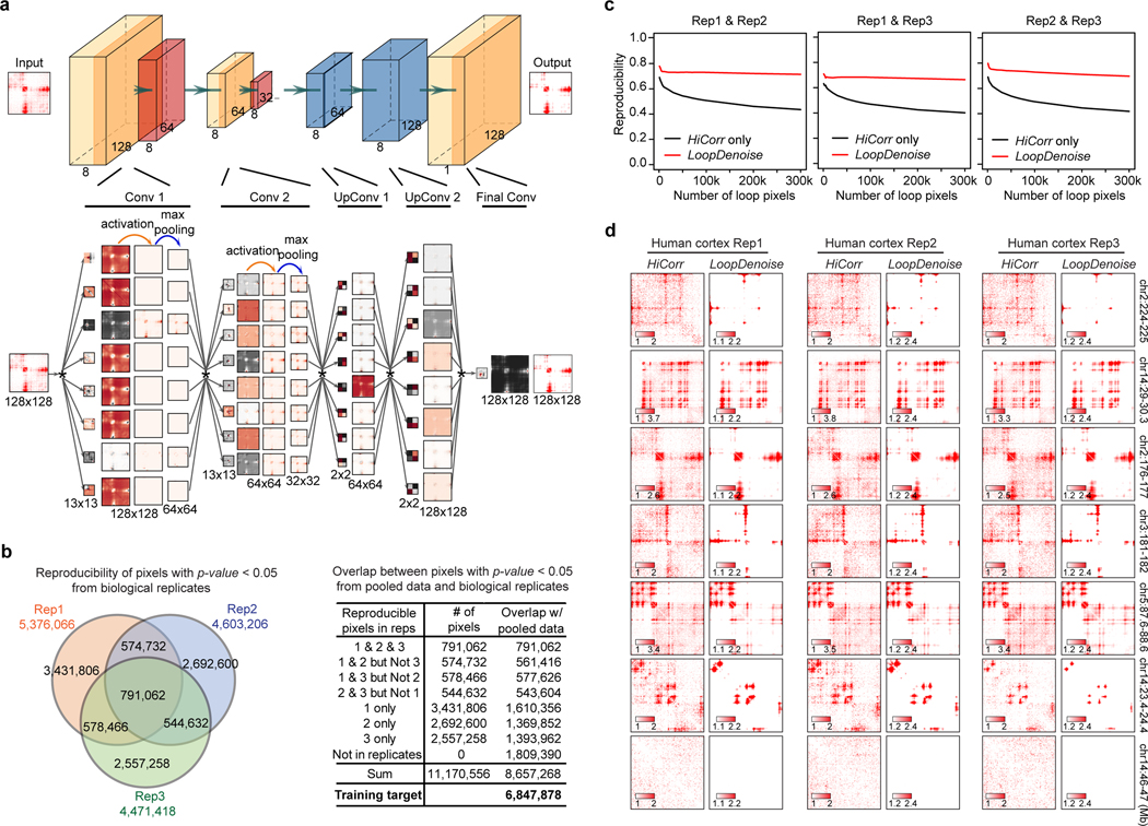 Extended Data Fig. 1