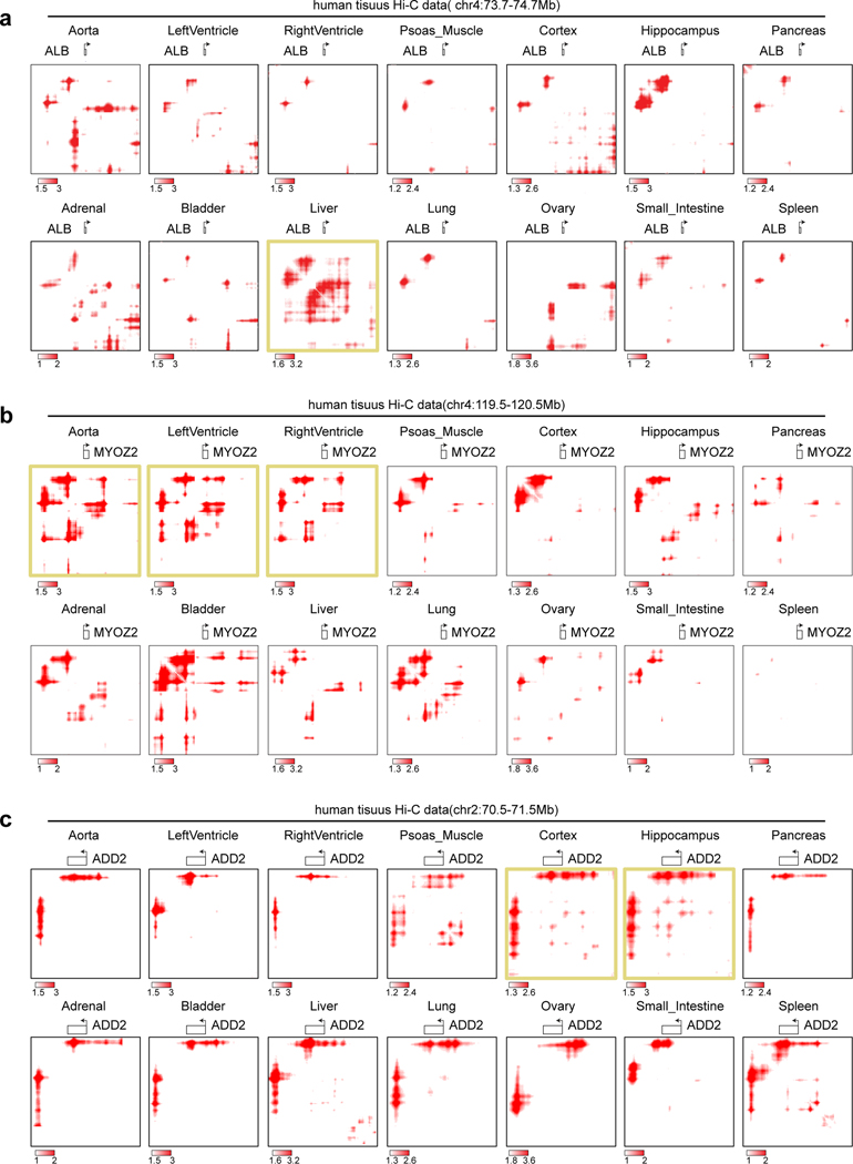 Extended Data Fig. 6