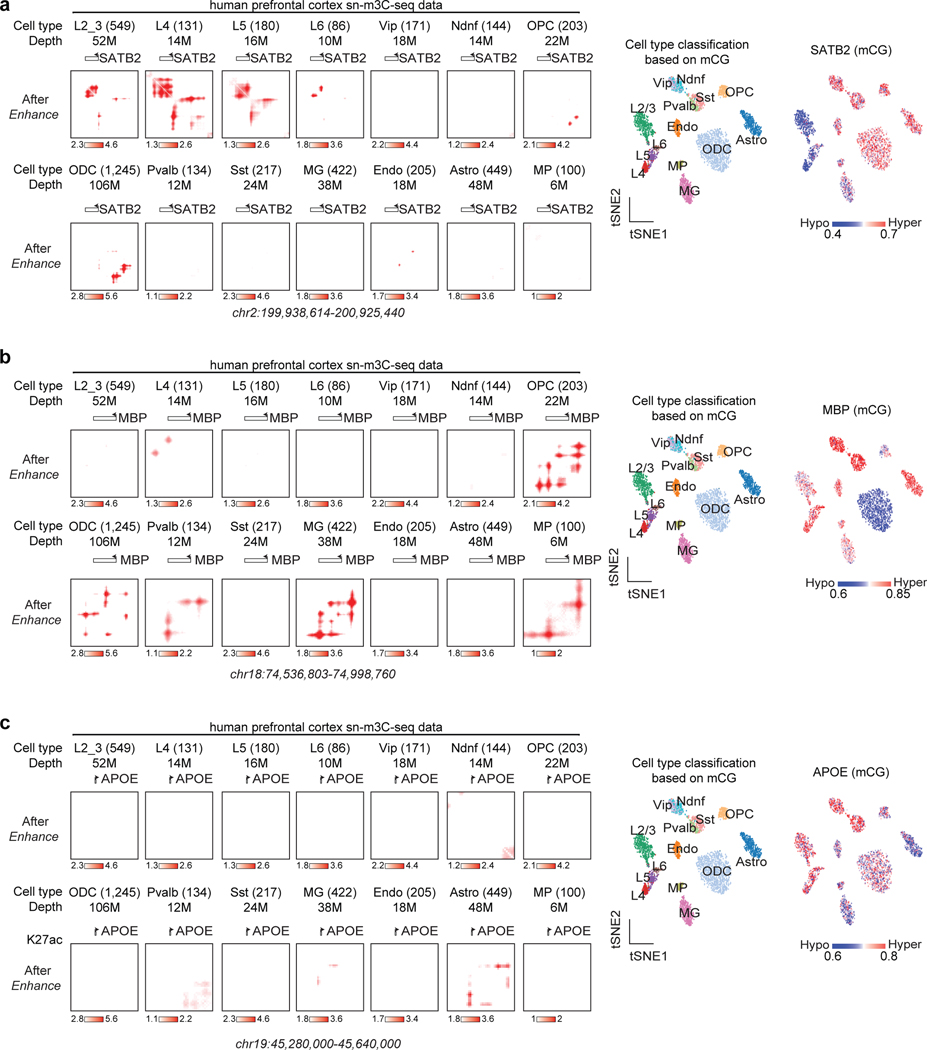 Extended Data Fig. 7