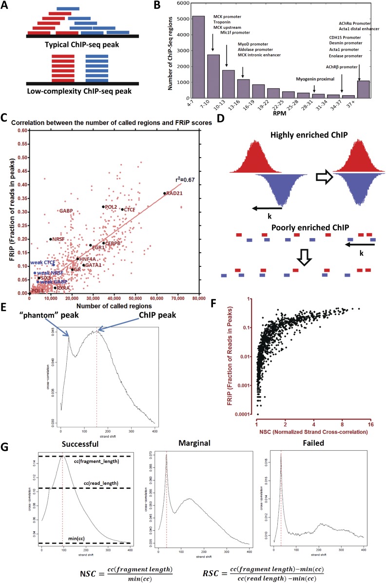 ChIP-seq guidelines and practices of the ENCODE and modENCODE consortia ...