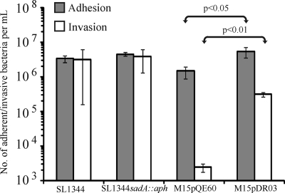 Fig. 4.