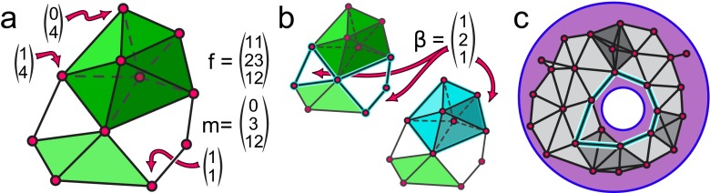 Fig. 6