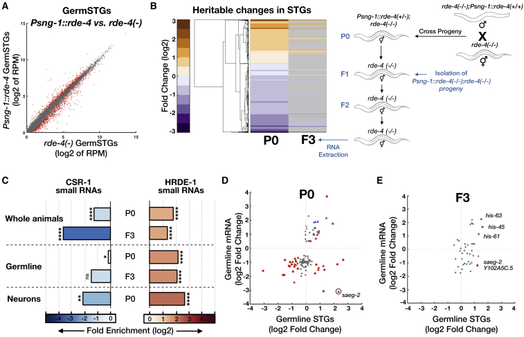 Figure 4