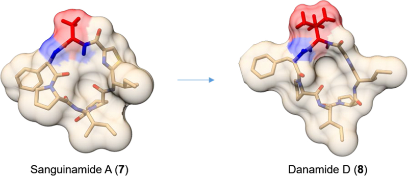 Figure 5.