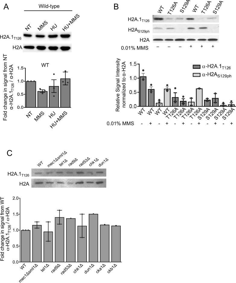 Figure 3—figure supplement 2.