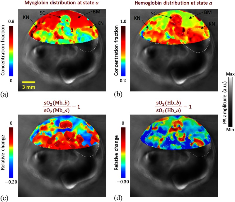 Fig. 4