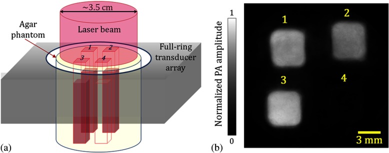 Fig. 2