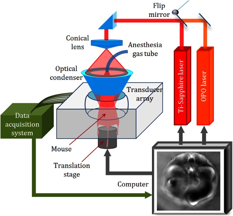 Fig. 3